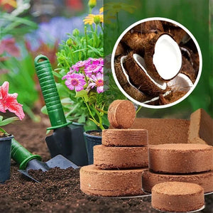 🎁Early Christmas Sale-30% OFF💥Organic Coconut Coir for Plants