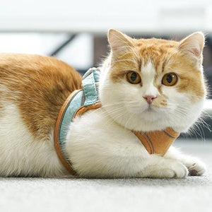 (🎁Mother's Day Hot Sale-50% OFF) Cat Vest Harness and Leash Set