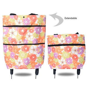 🎁Spring Cleaning Big Sale-50% OFF🍓2 In 1 Foldable Shopping Cart