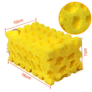 1PC Coral Car Washer Sponge