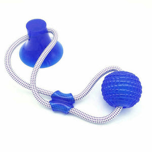 Dog Interactive Suction Cup Push Toys